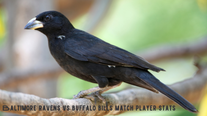 baltimore ravens vs buffalo bills match player stats