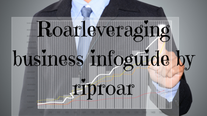 roarleveraging business infoguide by riproar